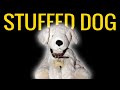 Stuffed Dog 2.0