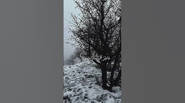 رب قد آتيتني من الملك وعلمتني من تأويل الأحاديث فاطر السموات والأرض | الآية  من سورة يوسف #المصحف #