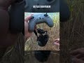 Accidentally Disarmed my Drone at Max Altitude! What happened next... #drone #quadcopter #dji  #fpv