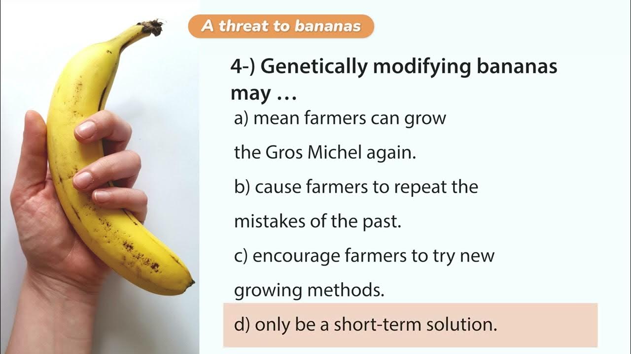 Reading Exercise with answers A threat to bananas Level C YouTube