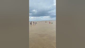 Trải nghiệm cào nghêu của các bạn nhỏ ở biển Tân Thành, Gò Công, Tiền Giang ngày 6/7/2025