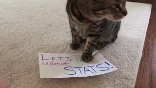 Let's Talk About Stats