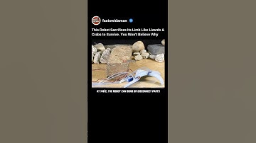 This Robot Sacrifices Its Limb Like Lizards & Crabs To Survive. Know Why 😱 #robot #shorts #robotics