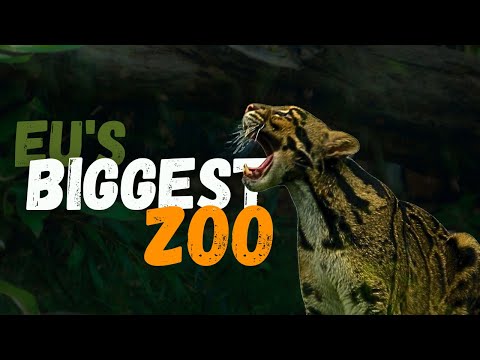 Visiting the Largest Zoo in Europe