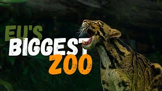 Visiting the Largest Zoo in Europe