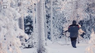 видео Охота на глухаря осенью