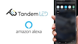Connecting TandemLED   WAV Technology to Alexa App / Speaker