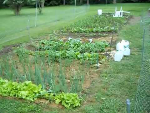 fence for rabbits