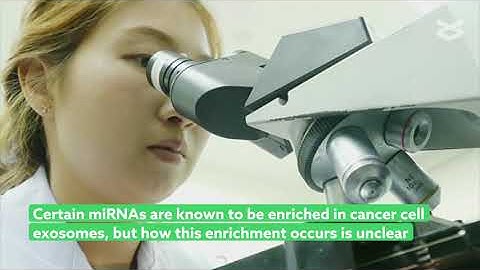 SRSF1 Regulates Exosome microRNA Enrichment in Human Cancer Cells