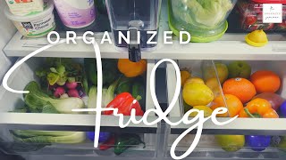 Refrigerator Organizations Vegetables