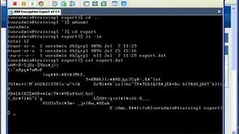 IBM Database Encryption Expert in action with DB2