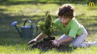 Mcdonalds Loop - Spring