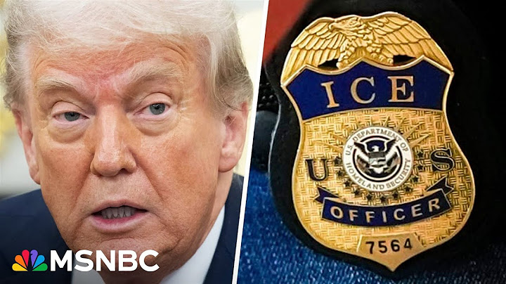 'Totally bizarre and ridiculous': Former judge reacts to Trump team's legal argument on ICE raids