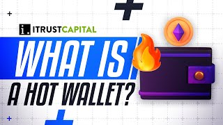 What’s a Hot Wallet?