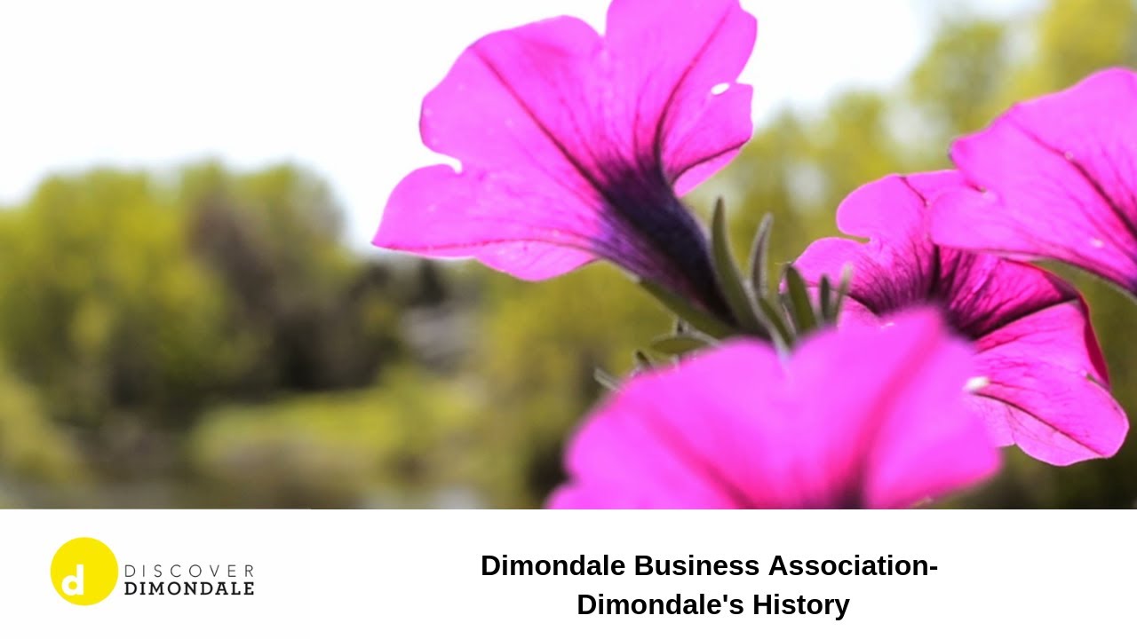 Dimondale Business Association History of Dimondale YouTube