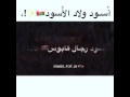 اسود ولاد اسود 