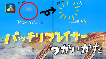 【簡単バレ消し】パッチリプレイサーで不要な箇所を消そう！DaVinci Resolve 18