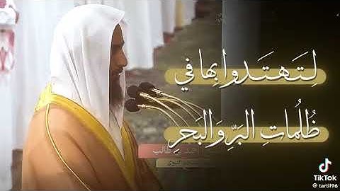 ﴿ إن الله فالق الحب والنوى ﴾ - سورة الأنعام 95 - تلاوة القارئ أحمد بن طالب