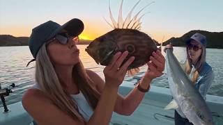 48 Hours At Sea: Kingfish, Crayfish & Big Snapper!