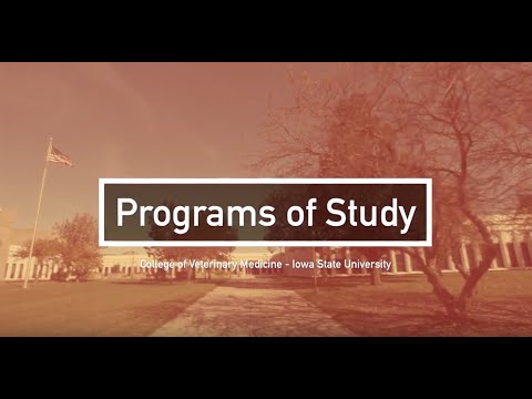 Iowa State University College of Veterinary Medicine – Programs of Study