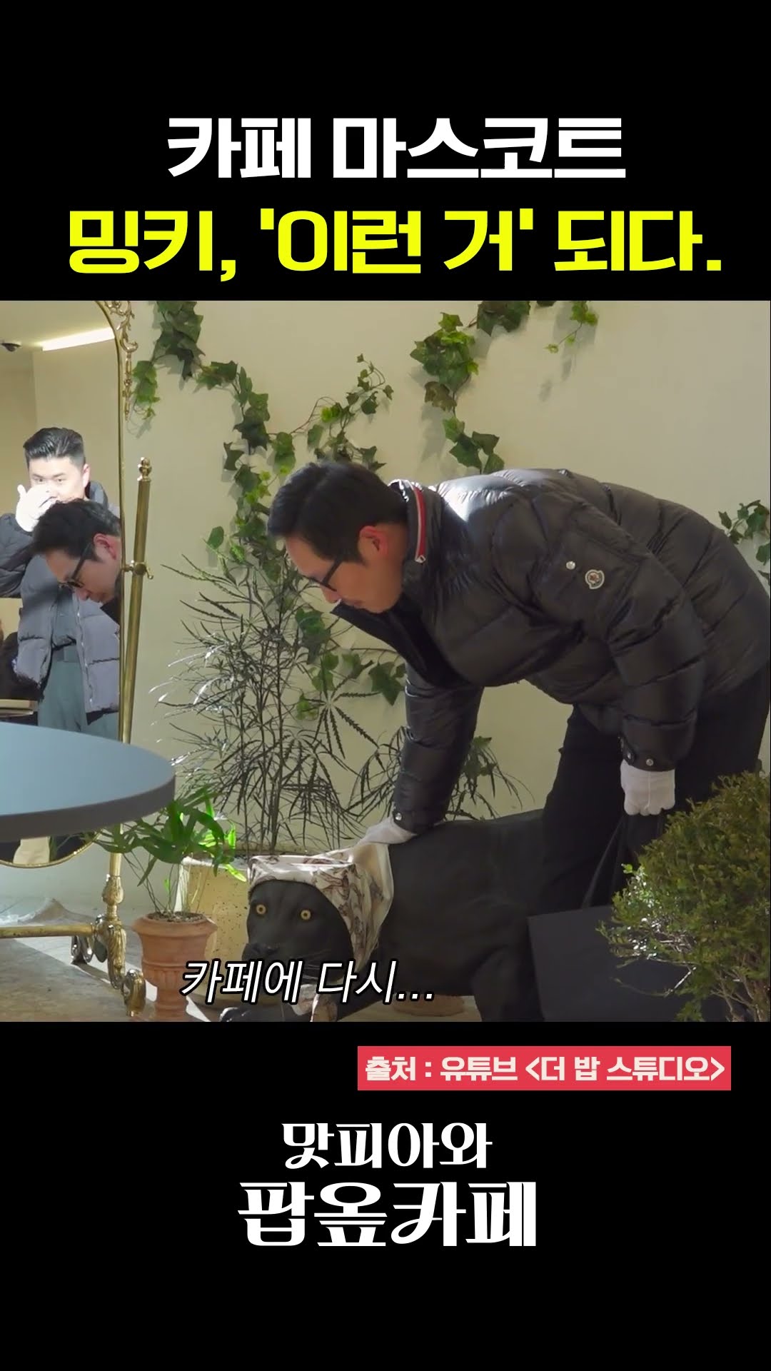 (속보) 일주어터, 카페 마스코트한테 '이런 거'라고 지칭..? #맛피아와팝옾카페