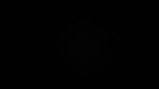 Z-Hard Grale Wide Grash Acoustic