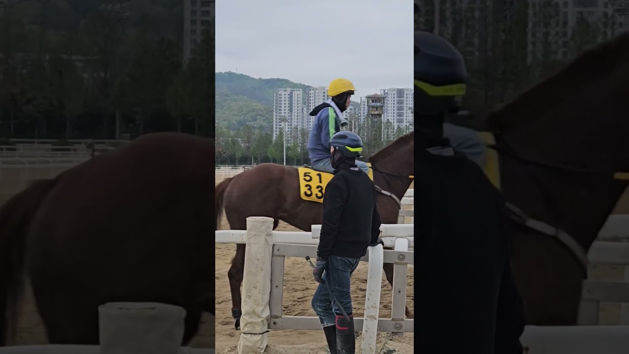 봄을 달리다~