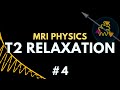 T2 Relaxation, Spin-spin Relaxation, Free Induction Decay, Transverse Decay | MRI Physics Course #4