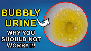 BUBBLES IN URINE: Why you don