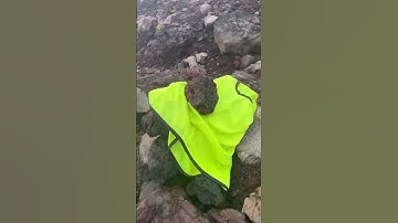 Eps 14 | GUNUNG SLAMET | #gunungslamet #trending