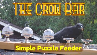 The Crow Bar - Crows Try a Home-made Puzzle Feeder