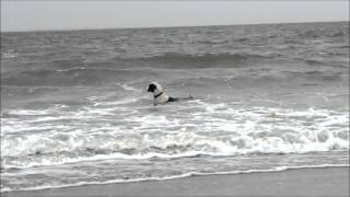 Skip In Zee Slow Motion