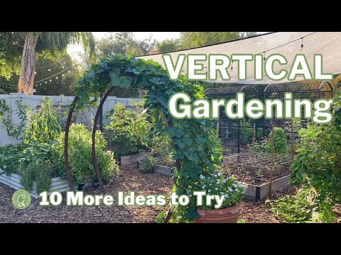 Video: Tuinvarings - Hoe om 'n varingtuin in die buitelug te groei en te versorg