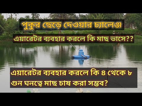 ভিডিও: এয়ারেটর ব্যবহার করবেন কেন?