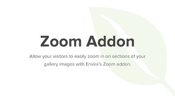 Envira Gallery Zoom Addon