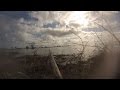 2016 Christmas Duck Hunt - Florida Wigeon Green Wing Teal 2016 Christmas Duck Hunt - Florida Wigeon Green Wing Teal