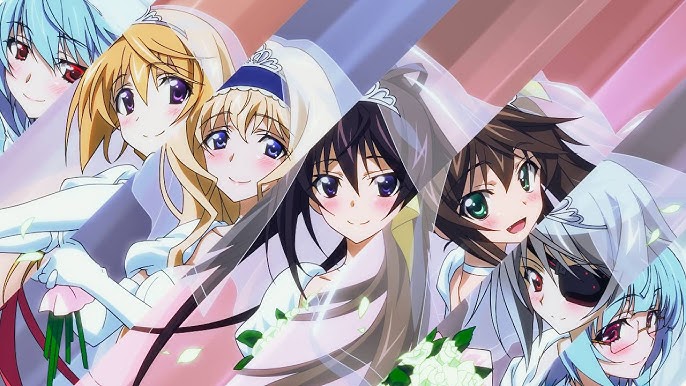 Infinite Stratos 2: Love And Purge [Limited Edition] for PlayStation 3
