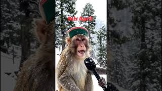 Live Snowfall 😲😲 Kufri Shimla #shimlavideos #shimlashorts #shimlashorts #snowfallstatus