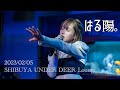 はる陽。LIVE動画[2023/02/05 渋谷 UNDER DEER Lounge ]「 とばりのなか 」