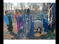 Sydell complete cage with auto head gate for sheep and goats