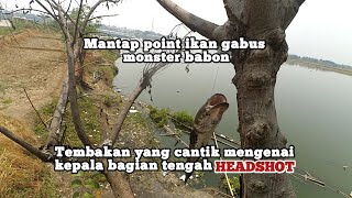 Headshot Point Ikan Gabus Monster Babon