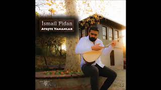 İsmail Fidan - Alidir Dediler Bize Resimi