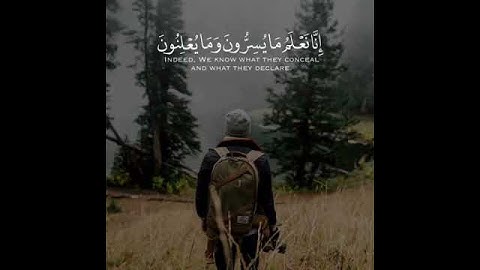 فلا يحزنك قولهم | القارئ محمد كمال هاشم