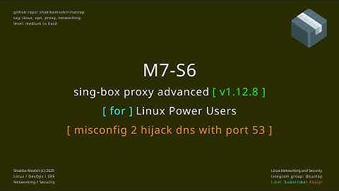 singbox proxy advanced M7 S6  misconfig hijack dns with port 53