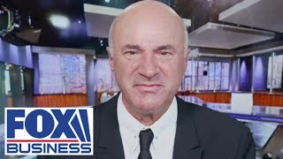 Kevin O'Leary: TikTok has two choices-shut down or sell it to me