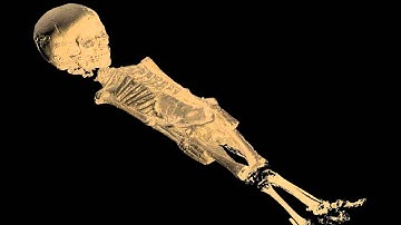 Boy_Mummy_Translucent_JPEG.wmv