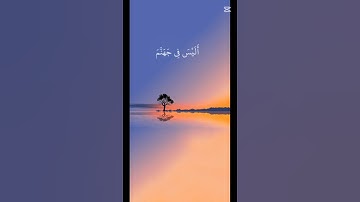 ارح قلبك بالاستماع لآيات القرآن الكريم 🌻