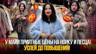 картинка: ШОК!💥У Майи такие ЦЕНЫ на норку и песца!✨ Успей до повышения!