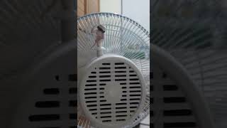旋轉護士20220831