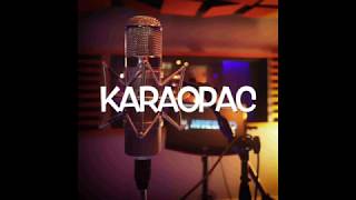 Video thumbnail of "Karaoke"Tu me dijiste adios"de Los Brincos"